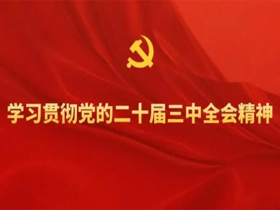<b>党建学习--学习贯彻党的二十届三中全会精神培训</b>